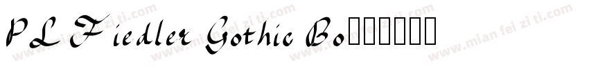 PL Fiedler Gothic Bo字体转换